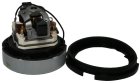 Moteur Aspirateur Electrolux VM3 Guardian Epic D4503201
