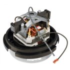 Moteur Aspirateur Electrolux VM3 Guardian Epic D4503201